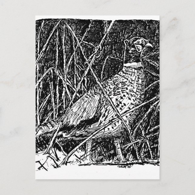 Postal Pheasant (Rooster) (Anverso)