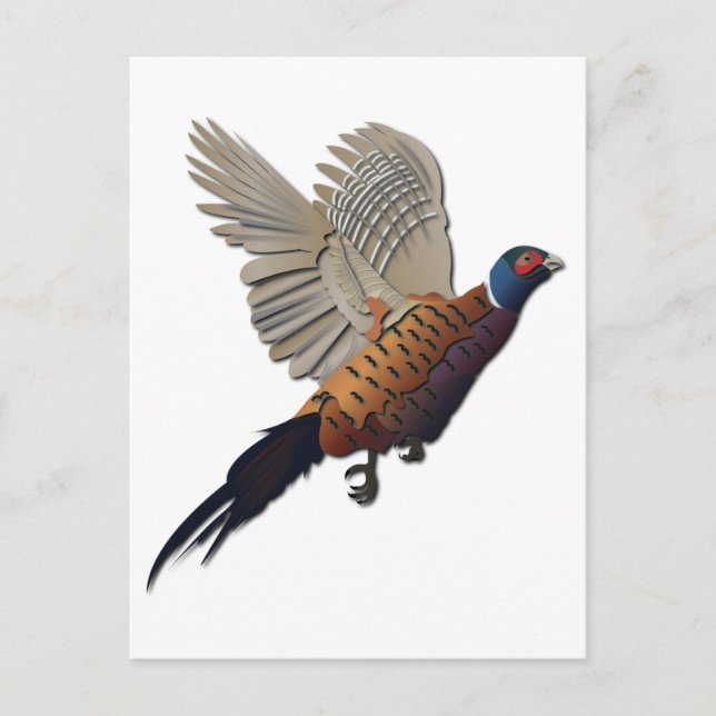 Postal Pheasant sin texto (Anverso)