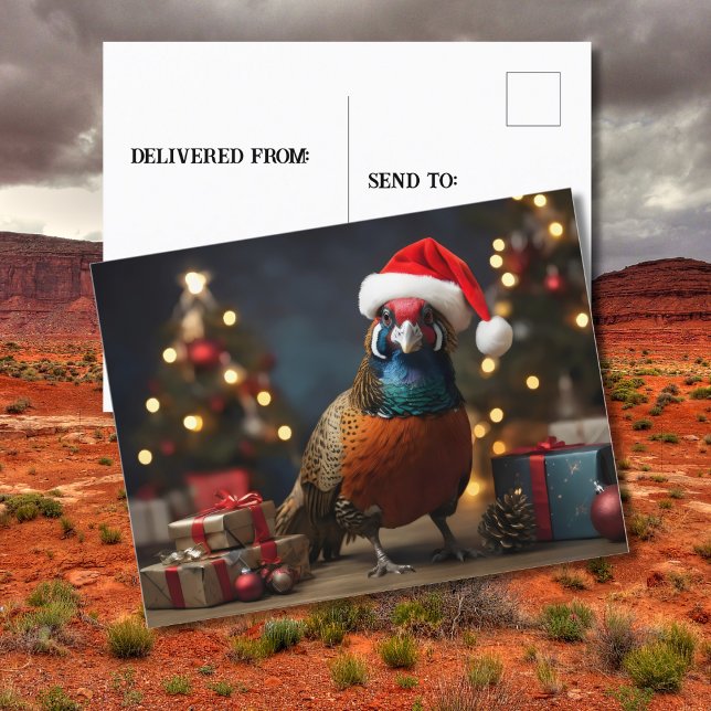 Postal Pheasant usando sombrero santa (Subido por el creador)