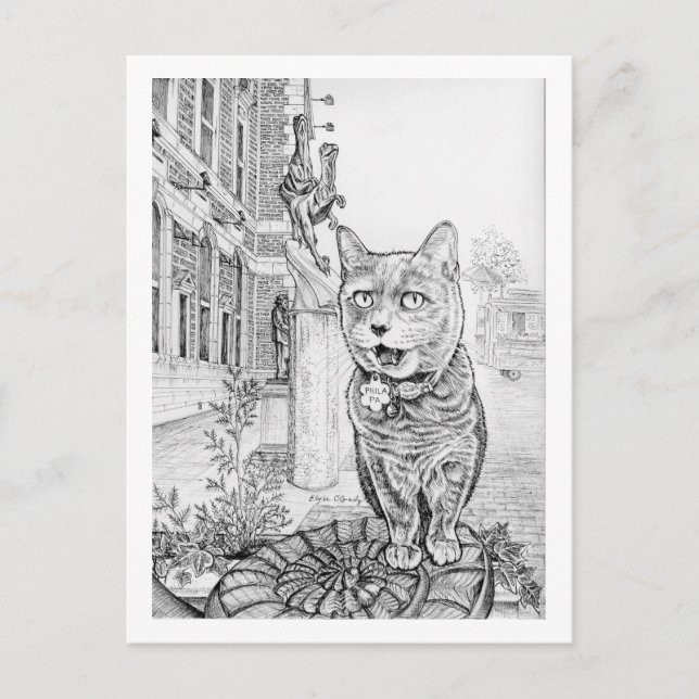 Postal Philly Cat near Academy of Natural Sciences  (Anverso)