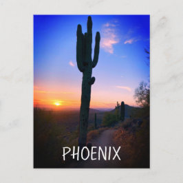 Postal Phoenix Arizona Saguaro Cactus Sunset Souvenir