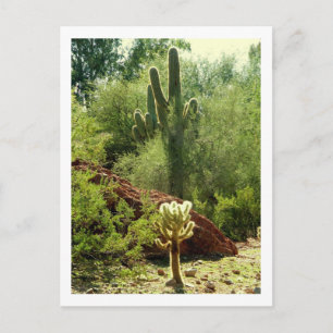 Postal Phoenix Flora