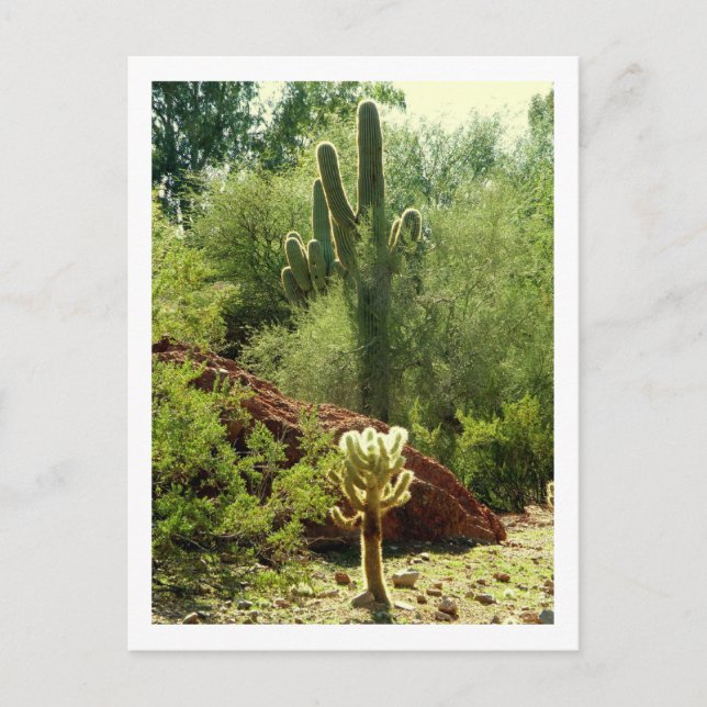 Postal Phoenix Flora (Anverso)