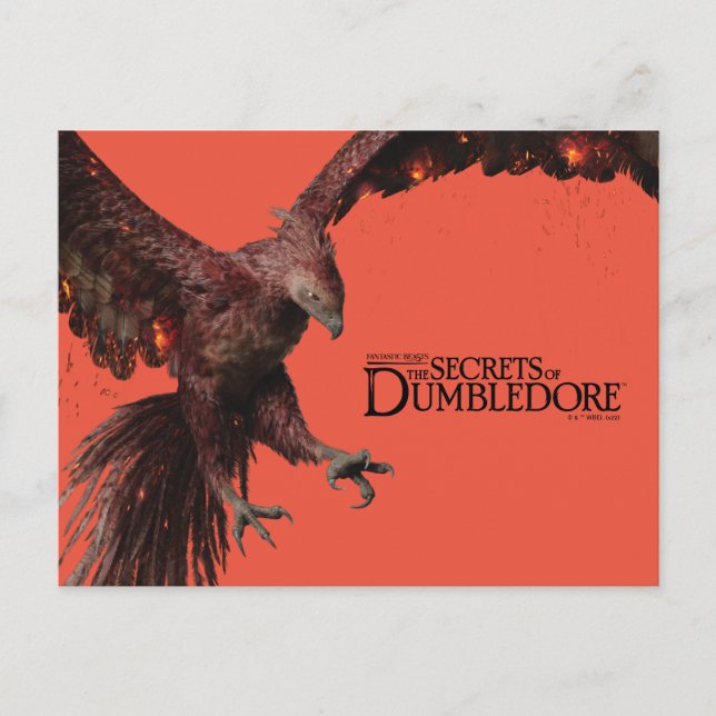 Postal Phoenix Flying Graphic (Anverso)