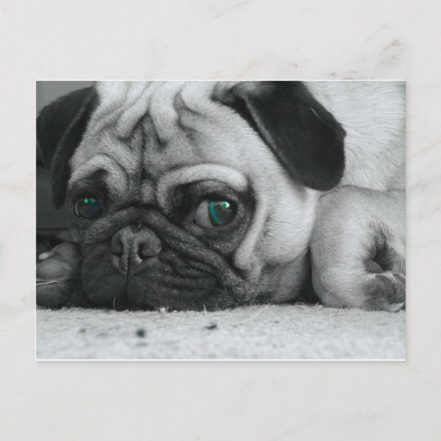 Postal pic de breena (Anverso)