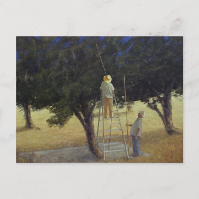 Postal Pickers de oliva de 1985 (Anverso)