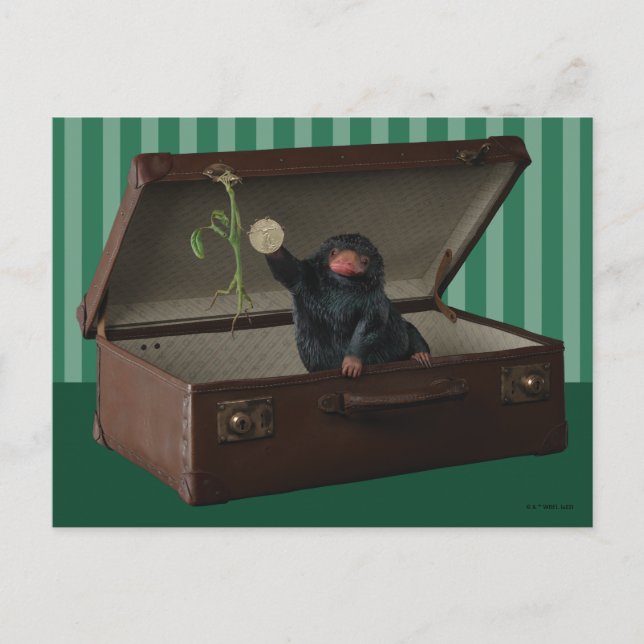 Postal Pickett y Teddy en maletín (Anverso)