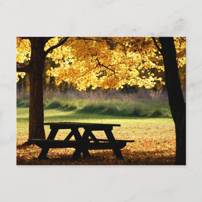 Postal Picnic de otoño (Anverso)