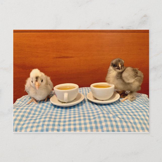 Postal Picnic de pollo (Anverso)