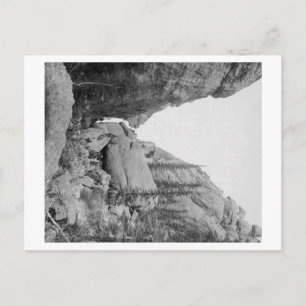 Postal Pícnic dominical en Gulch cerca de Custer City