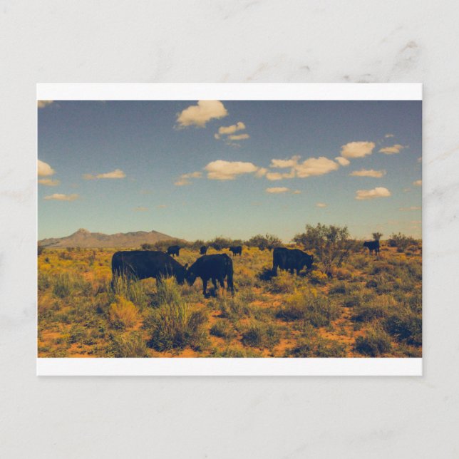 Postal pico de cocina 07 (Anverso)