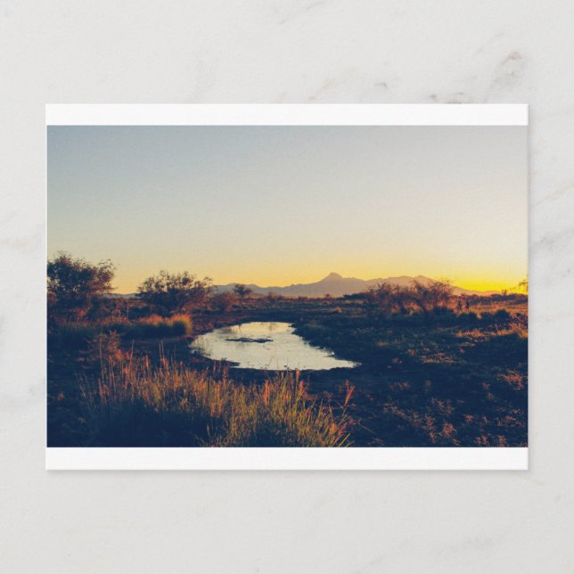 Postal pico de cocina 08 (Anverso)