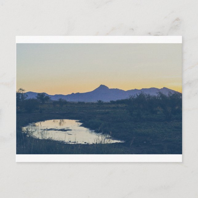 Postal pico de cocina 12 (Anverso)