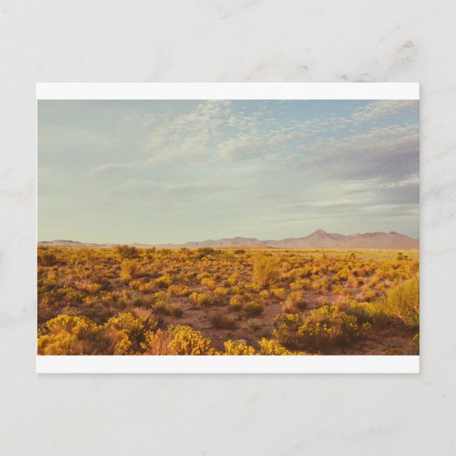 Postal pico de cocina 14 (Anverso)