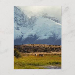 Postal Pico de montaña de Guanacos