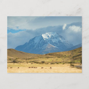 Postal Picos de montañas de Torres del Plains