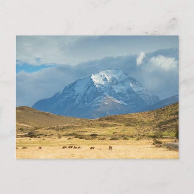 Postal Picos de montañas de Torres del Plains (Anverso)