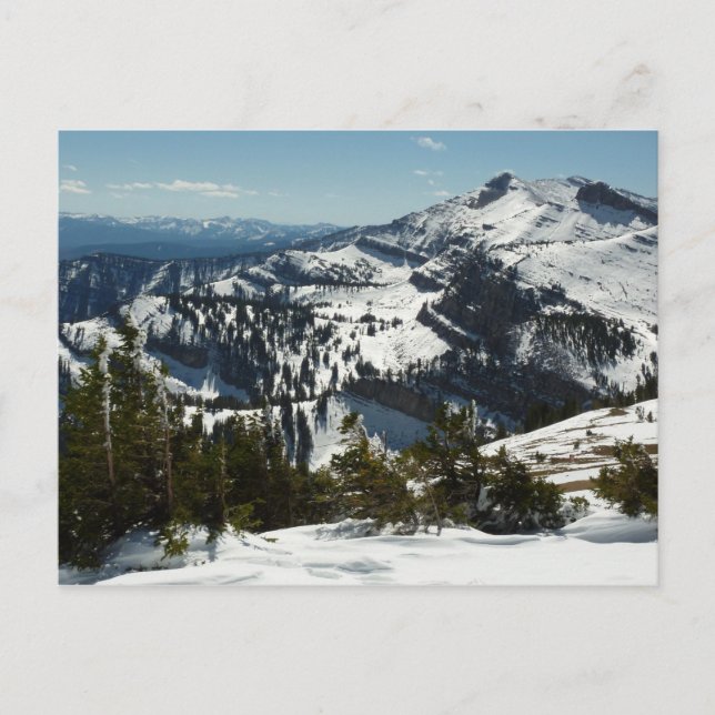 Postal Picos nevados de las montañas del Gran Tetón II Fo (Anverso)