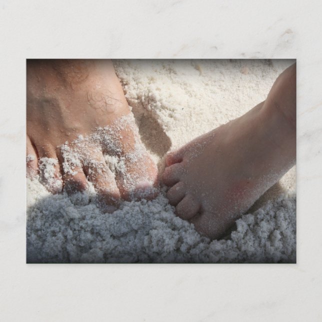 Postal Pie grande en el golfo de Beach Florida (Anverso)