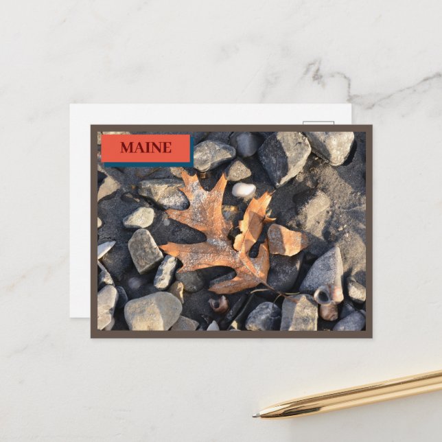 Postal Piedras de hojas bombardean la playa de Seapoint (Anverso/Reverso In Situ)