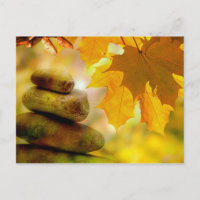 Piedras y hojas de arce de la meditación del zen