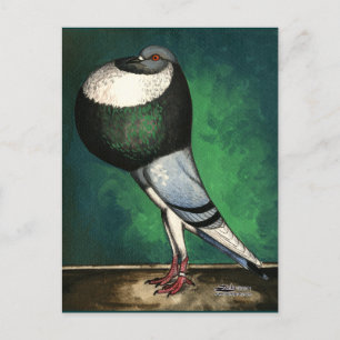 Postal Piel azul Norwich Cropper