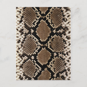 Postal Piel Diamond Back Rattlessnake