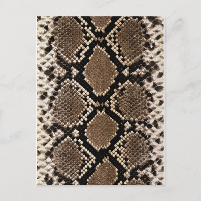 Postal Piel Diamond Back Rattlessnake (Anverso)