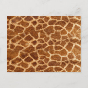 Postal Piel Giraffe