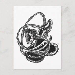 Postal Piel hacia afuera