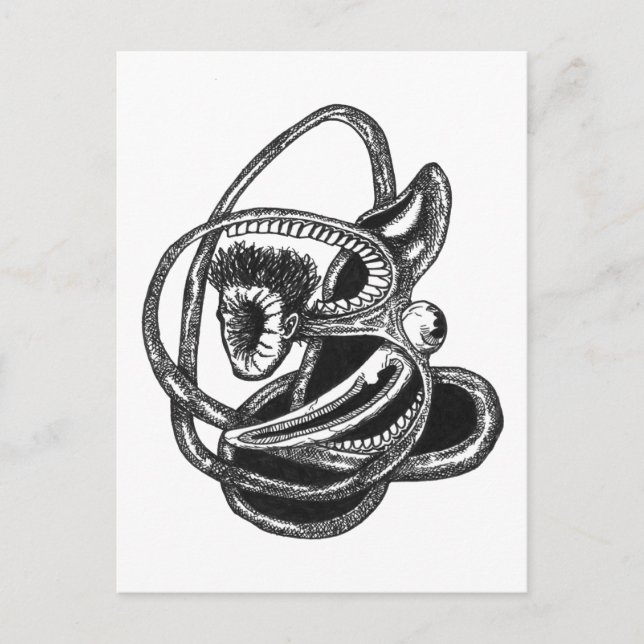 Postal Piel hacia afuera (Anverso)