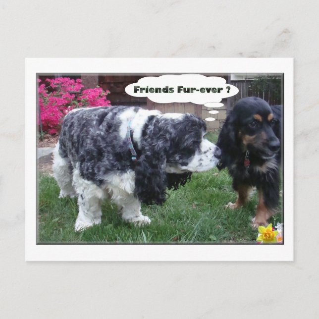 Postal Piel-nunca de los mejores amigos (Anverso)