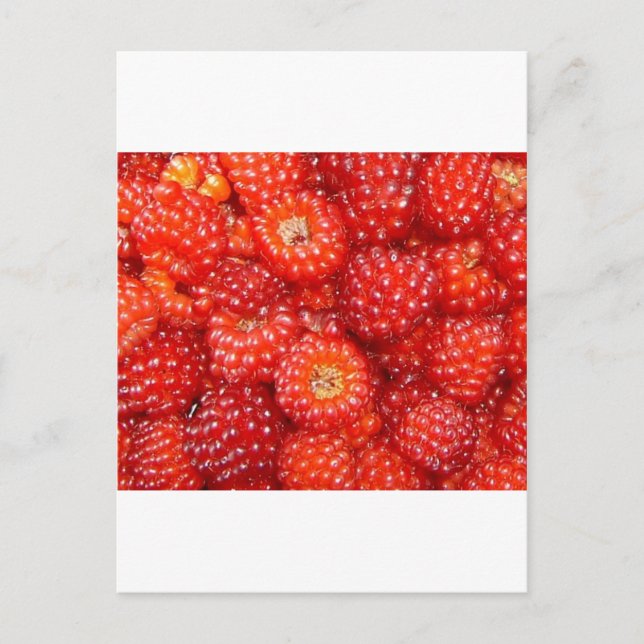 POSTAL ¡PIENSEN EN RASPBERRY! (Anverso)