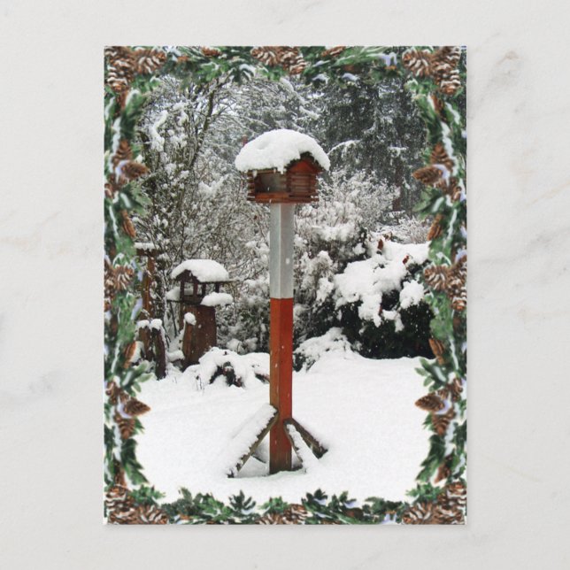 POSTAL PIENSOS DE AVES Y NIEVE DE SHARON SHARPE (Anverso)