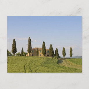 Postal Pienza, Val d'Orcia, provincia de Siena, Toscana,