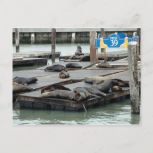 Postal Pier 39