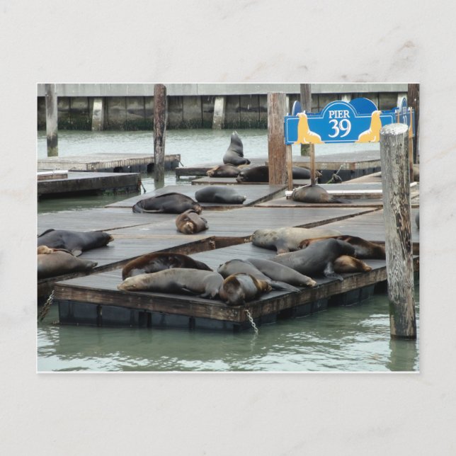 Postal Pier 39 (Anverso)