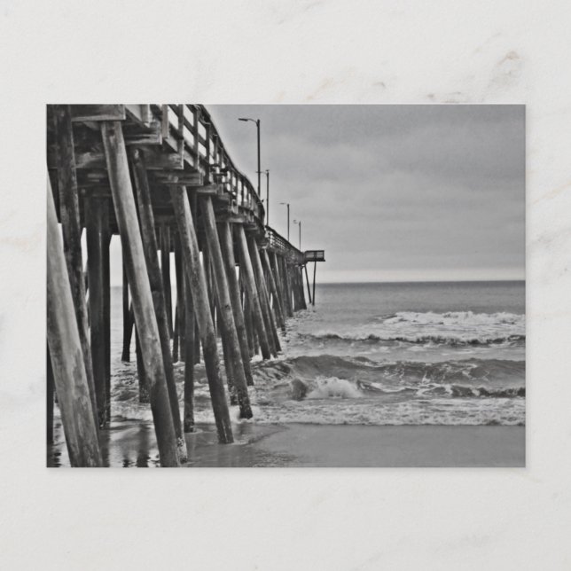 Postal Pier de Shirley Taylor (Anverso)