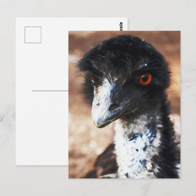 Postal Piercing Eyes of the Outback (Anverso / Reverso)