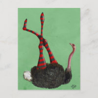 Piernas con rayas de avestruz