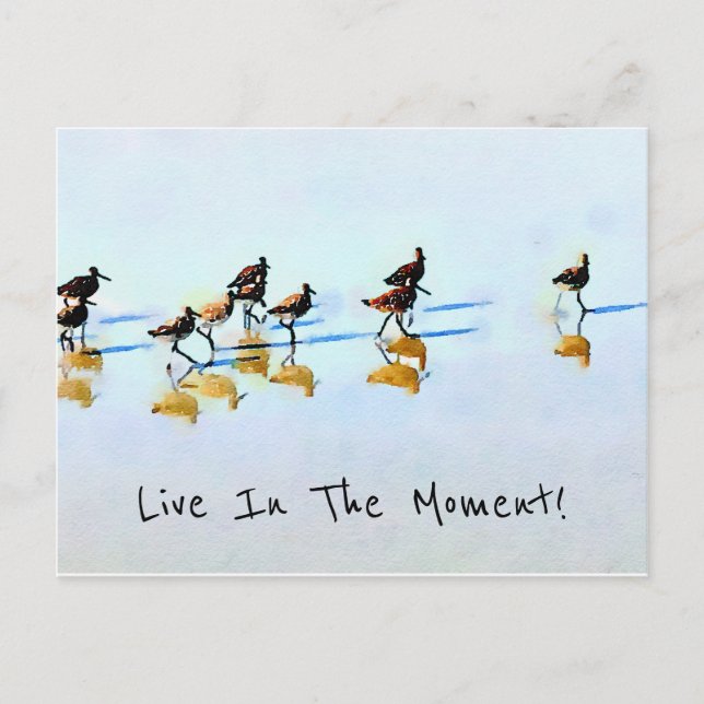 Postal Pieteros de arena corriendo en la playa de Hilton  (Anverso)