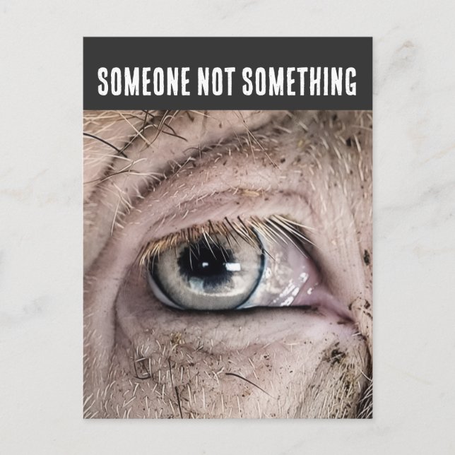 Postal PIG Postcard, SOMEONE NOT SOMETHING (Anverso)