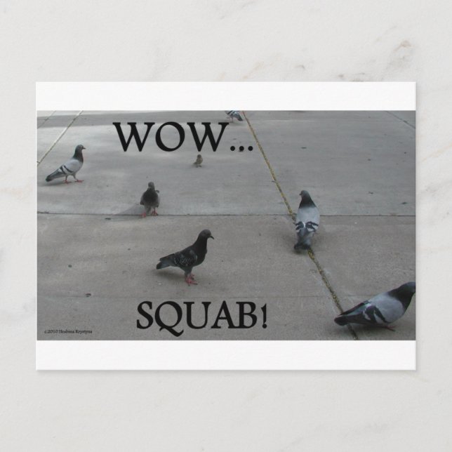 POSTAL PIGEON HUMOR (Anverso)