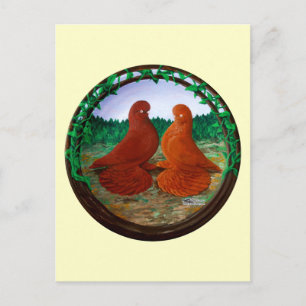 Postal Pigeones de Tumbler espumoso2