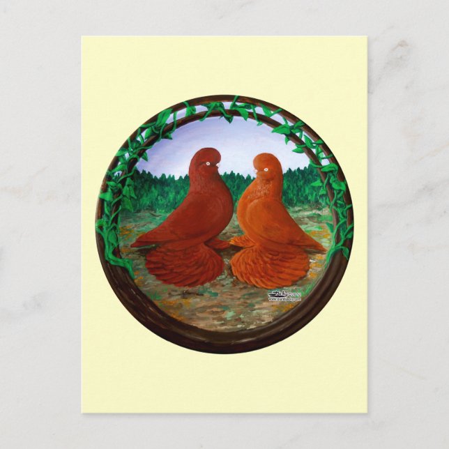 Postal Pigeones de Tumbler espumoso2 (Anverso)