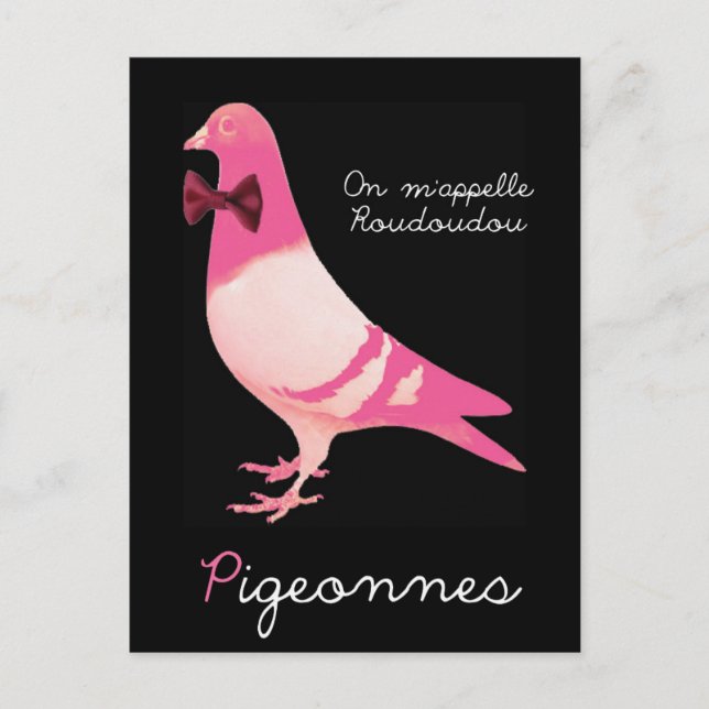 Postal Pigeonnes - En m'appelle Roudoudou (Anverso)
