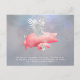 Postal Piglets voladores