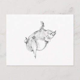 Postal Pigs Can Fly Postcard