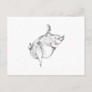 Postal Pigs Can Fly Postcard