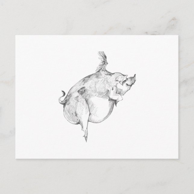 Postal Pigs Can Fly Postcard (Anverso)